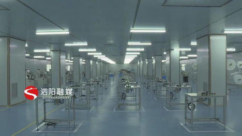 優服務強項目，科技賦能 泗陽意楊產業科技園的高質量發展之路